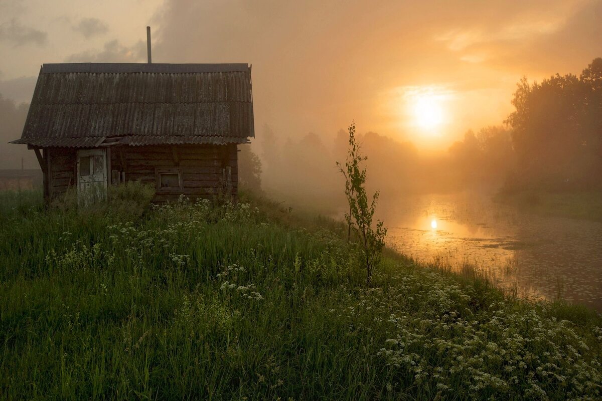 Так... погреб надо поглубже... Счетчик трещит... фото яндекс.