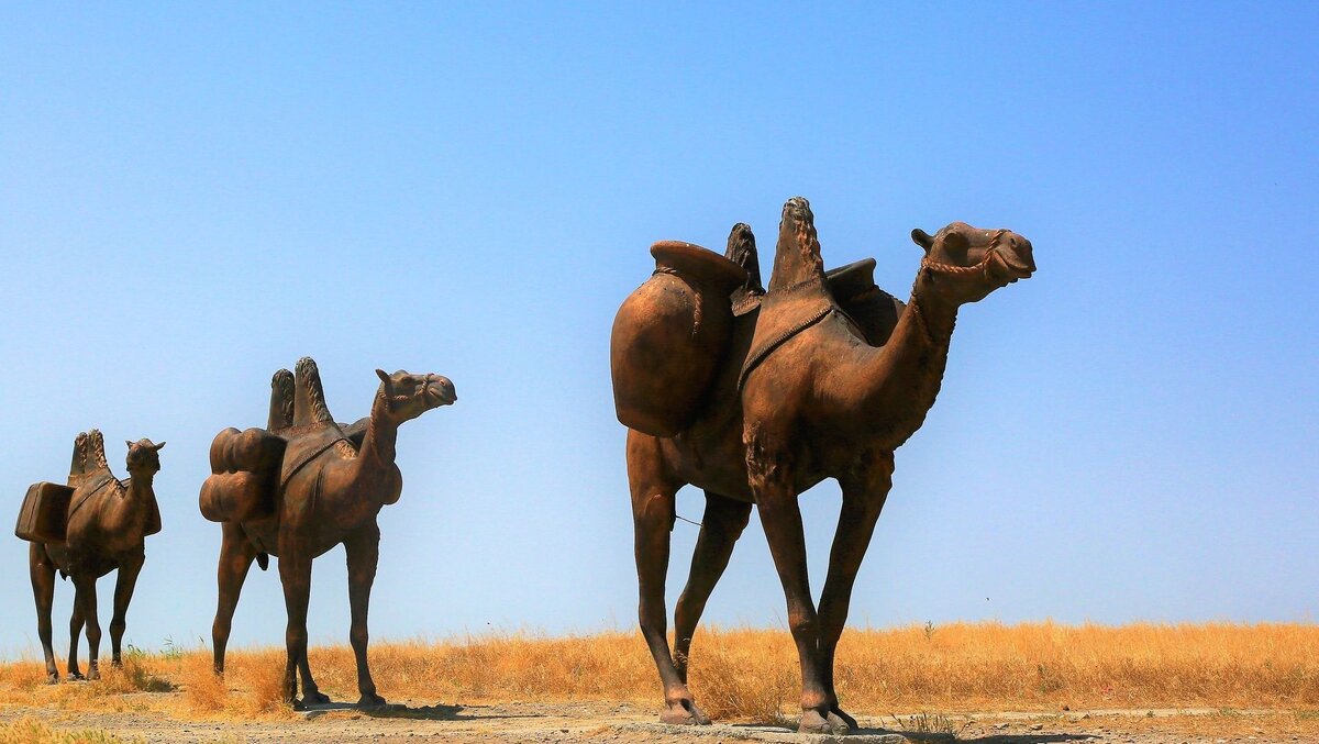 КОРАБЛИ ПУСТЫНИ: КАК РАНЬШЕ ПРИМЕНЯЛИСЬ ВЕРБЛЮДЫ, И КАК СЕЙЧАС ДЕЛА С ПРИМЕНЕНИЕМ ВЕРБЛЮДОВ