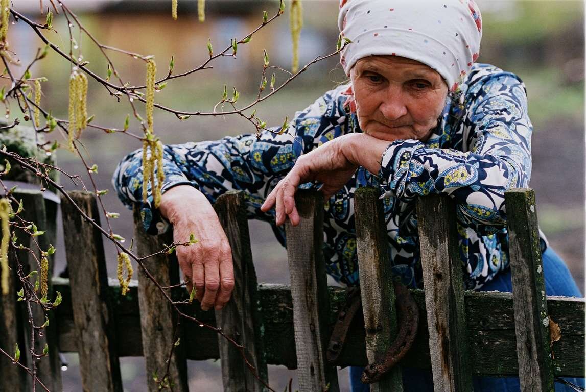 Фото из свободного доступа сети Интернет