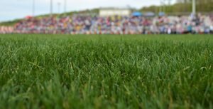    Фото: Blocks Fletcher / unsplash.com Маргарита Пименова