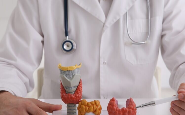 Врачи рекомендуют