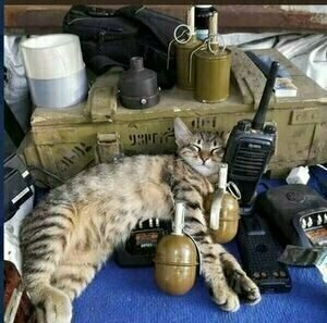 Добавьте описание