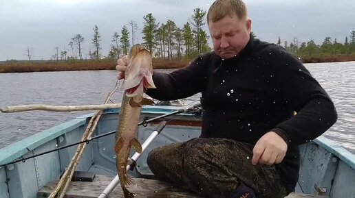 ТАЁЖНЫЕ ОЗЁРА. Заключительная рыбалка по открытой воде. ЩУКИ СВОДЯТ с УМА.