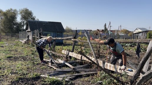 ЖИЗНЬ В ДЕРЕВНЕ/СЛОМАЛИ СТАРЫЙ ЗАБОР/СНОВА ЗАГОТОВКИ НА ЗИМУ/СВОИ ПОМИДОРЫ, ОГУРЦЫ ОСЕНЬЮ