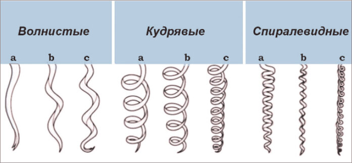 Типы кудрявых волос