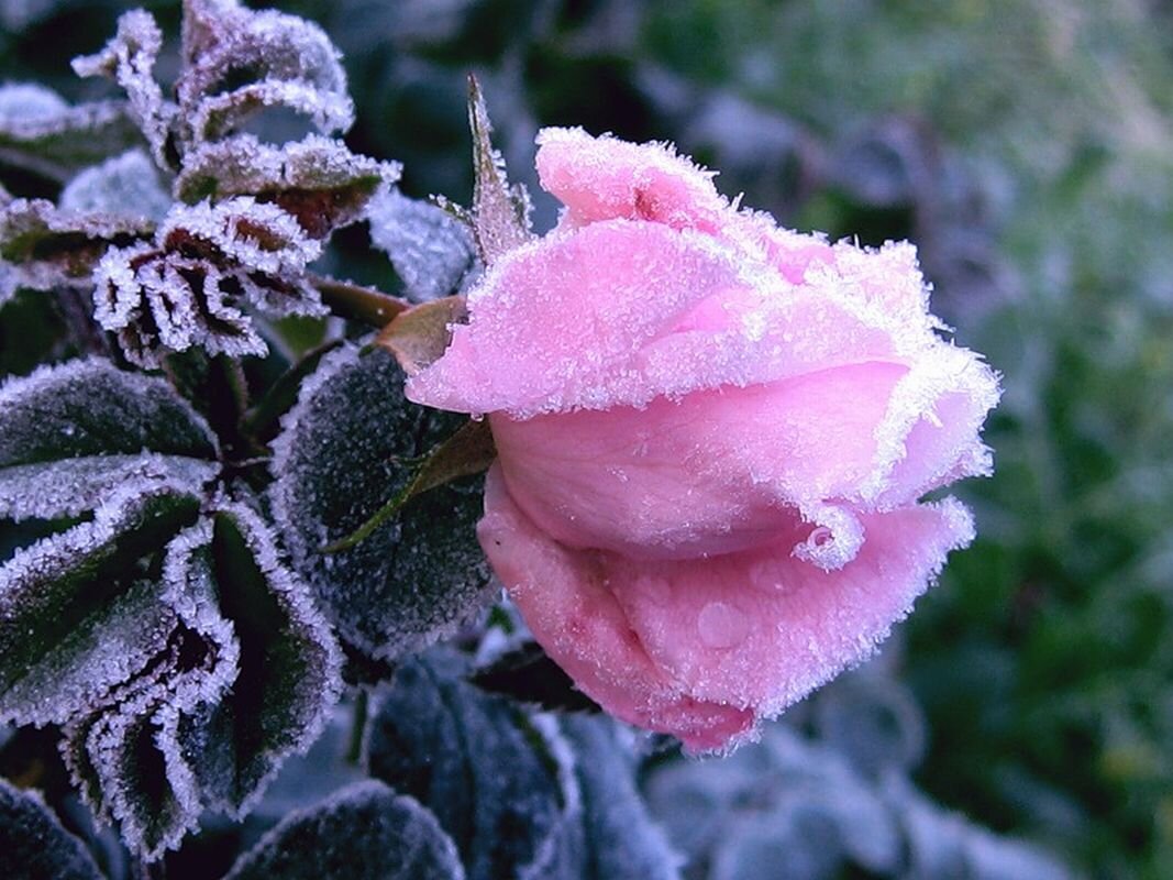 Фото из интернета