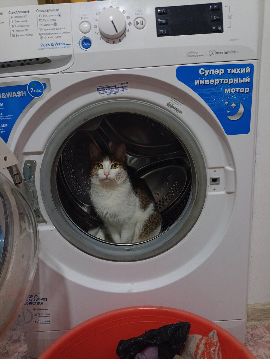 Моё