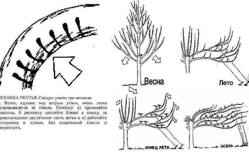 Изгиб ствола