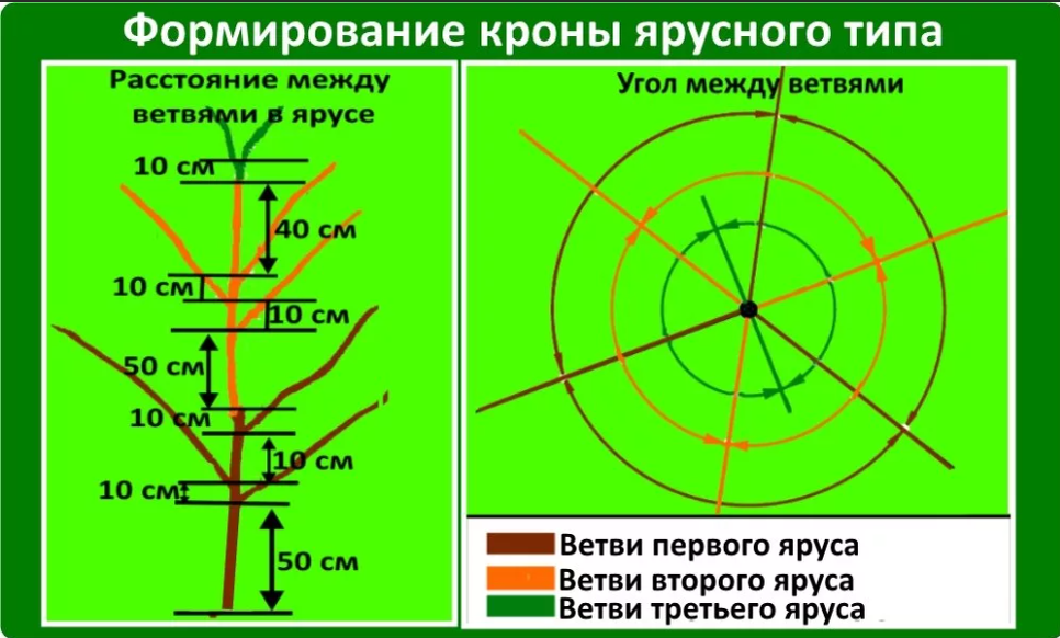 Работаем над ошибками