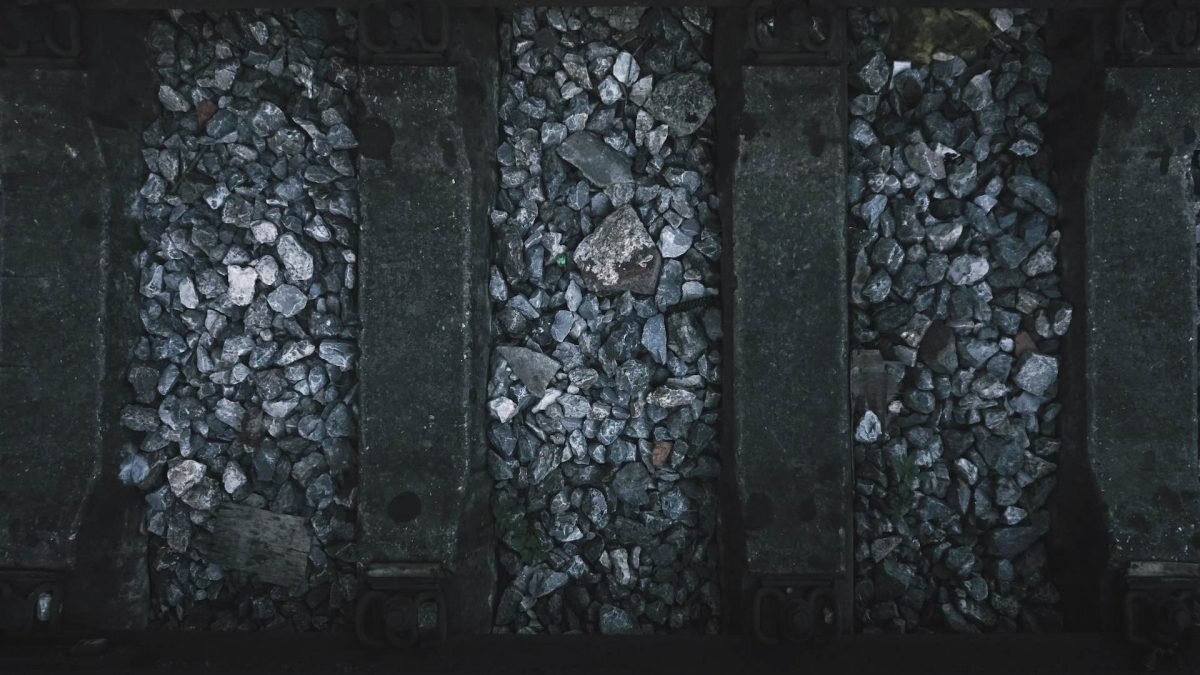    Фото: Unsplash Август Макаров