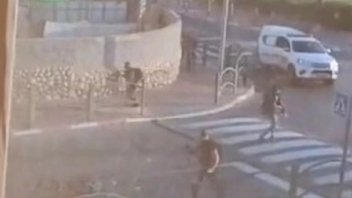 Фото: стоп-кадр из видео / соцсети