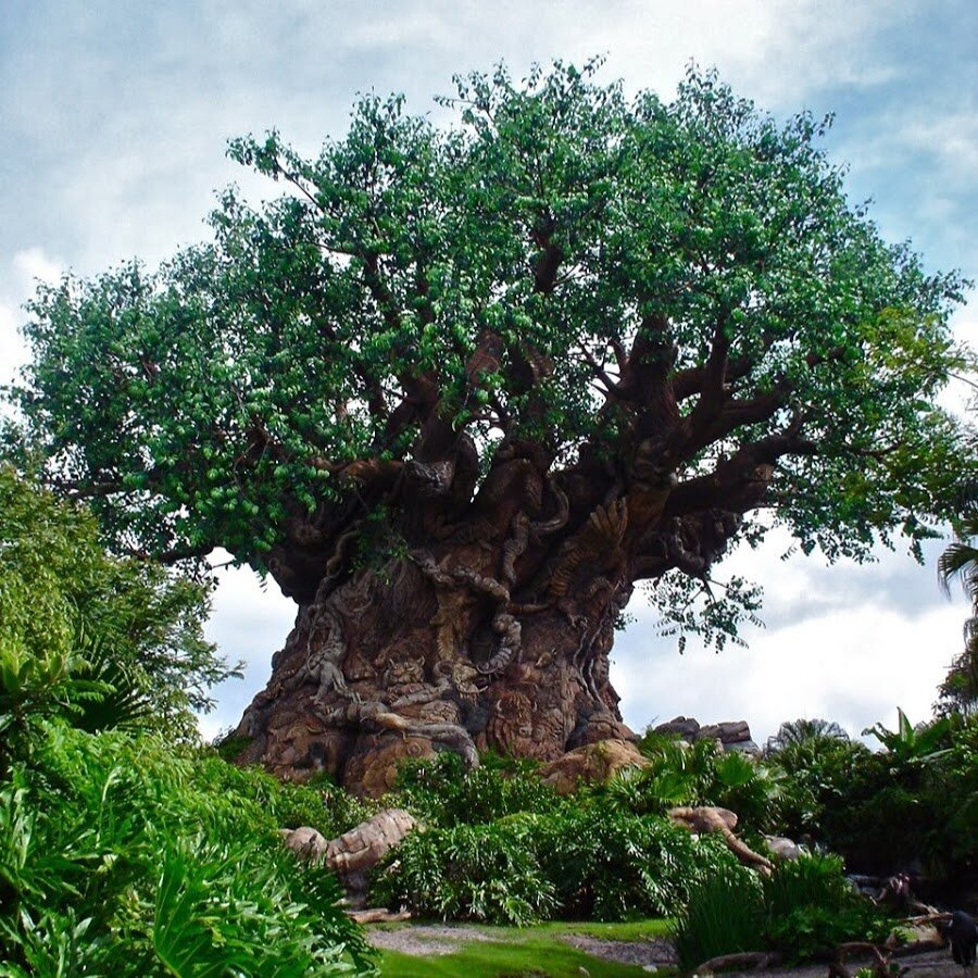 Фотография с источника sevenclue.com