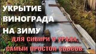 Укрытие винограда на зиму. Самый простой способ.