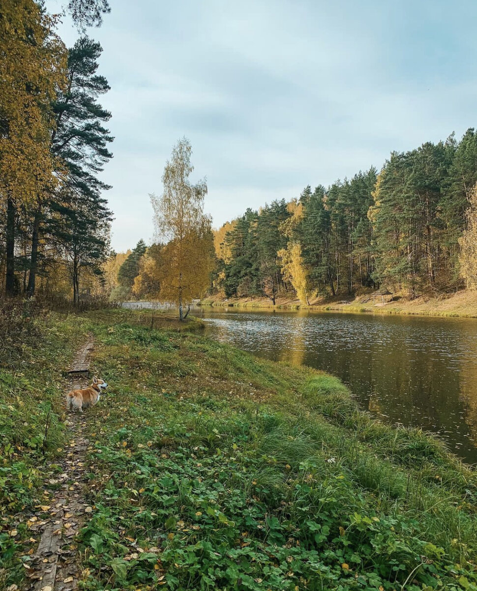 Фото из личного архива