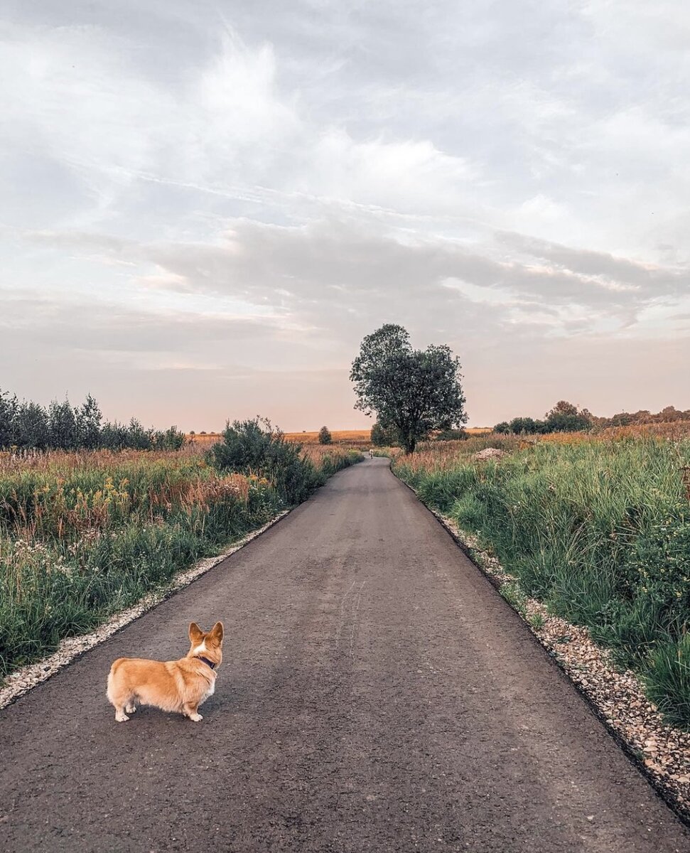 Фото из личного архива 