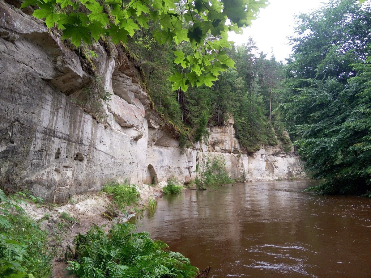 красивые места в луге