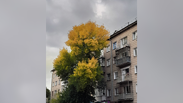  📷