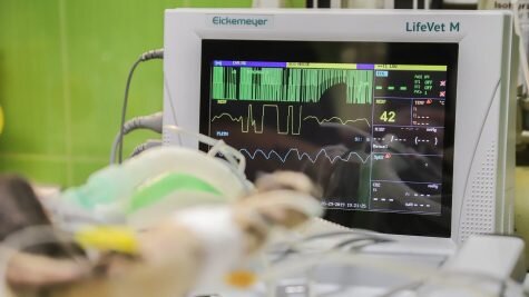    Фото: pixabay.com