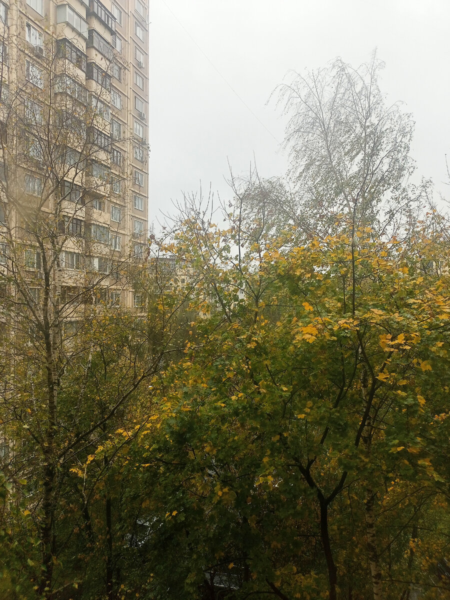 Фото автора, t.me/appcats