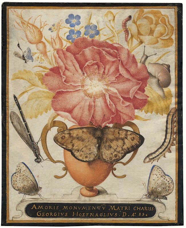 Joris Hoefnagel, Amoris Monumentum Matri Chariss(imae) - Памятник любви самой дорогой матери, 1589. 11.7 x 9.3 см