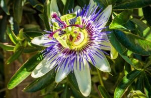    Фото: freepik.com/wirestock Анна Полякова