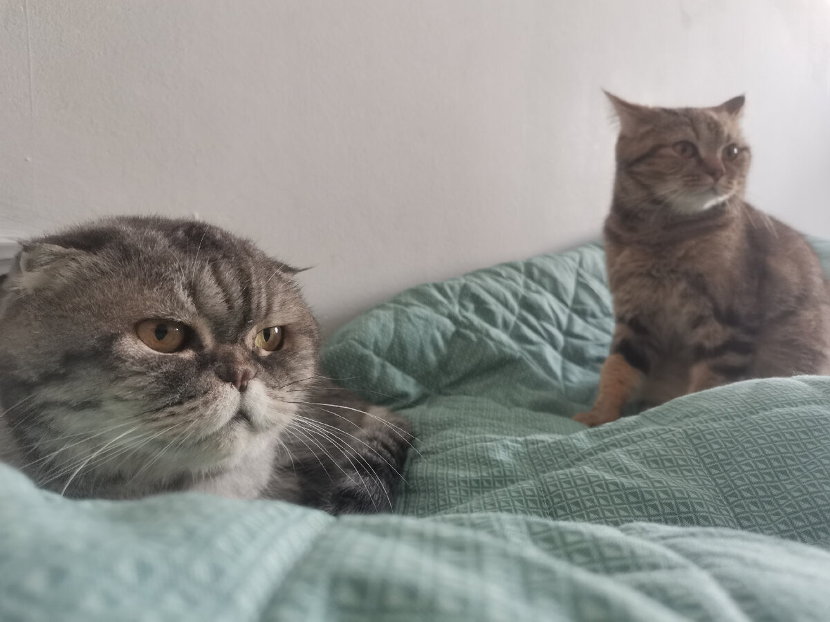 Вот они две подружки