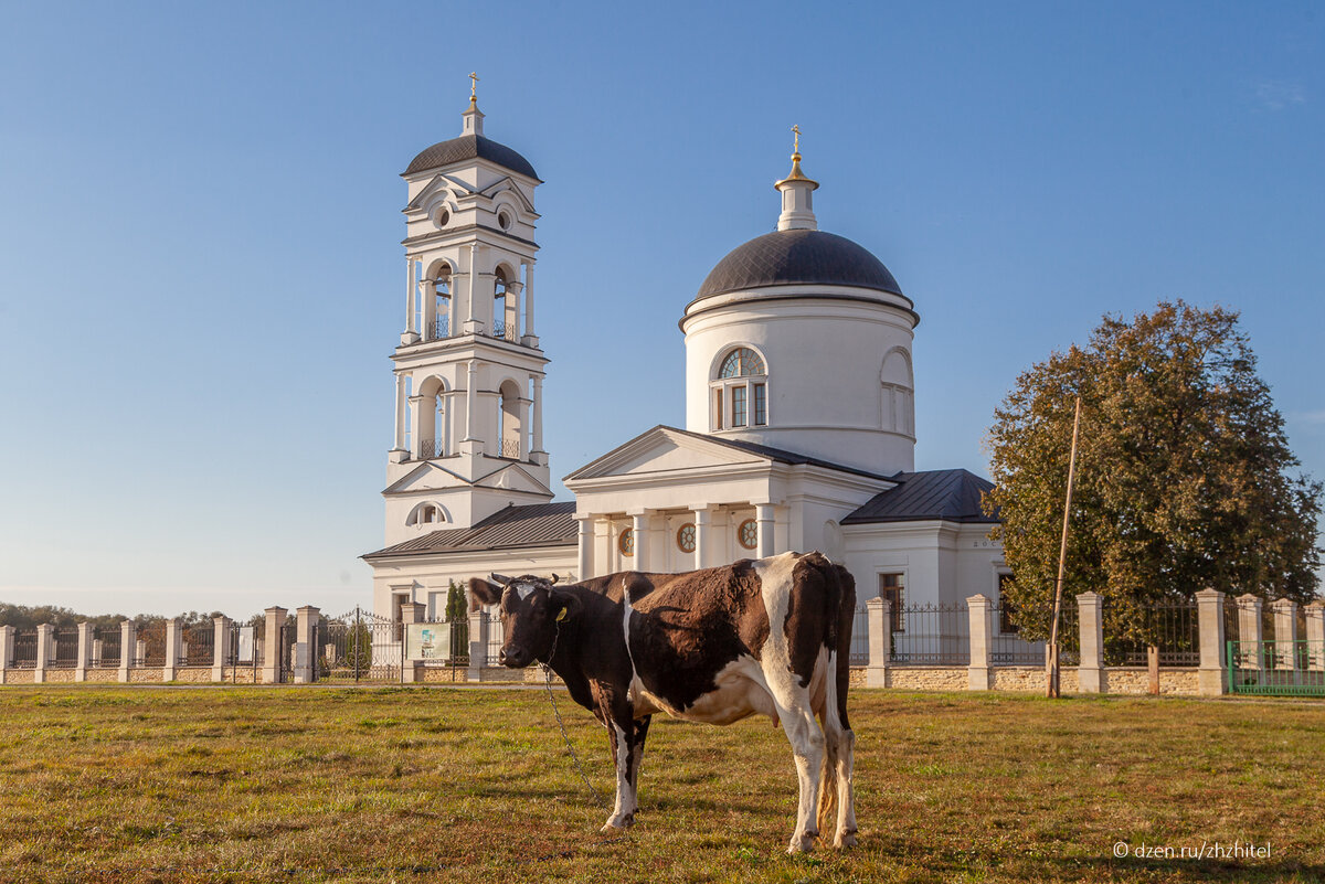 Липецкая область. Усадьба Скорняково-Архангельское. Фото автора