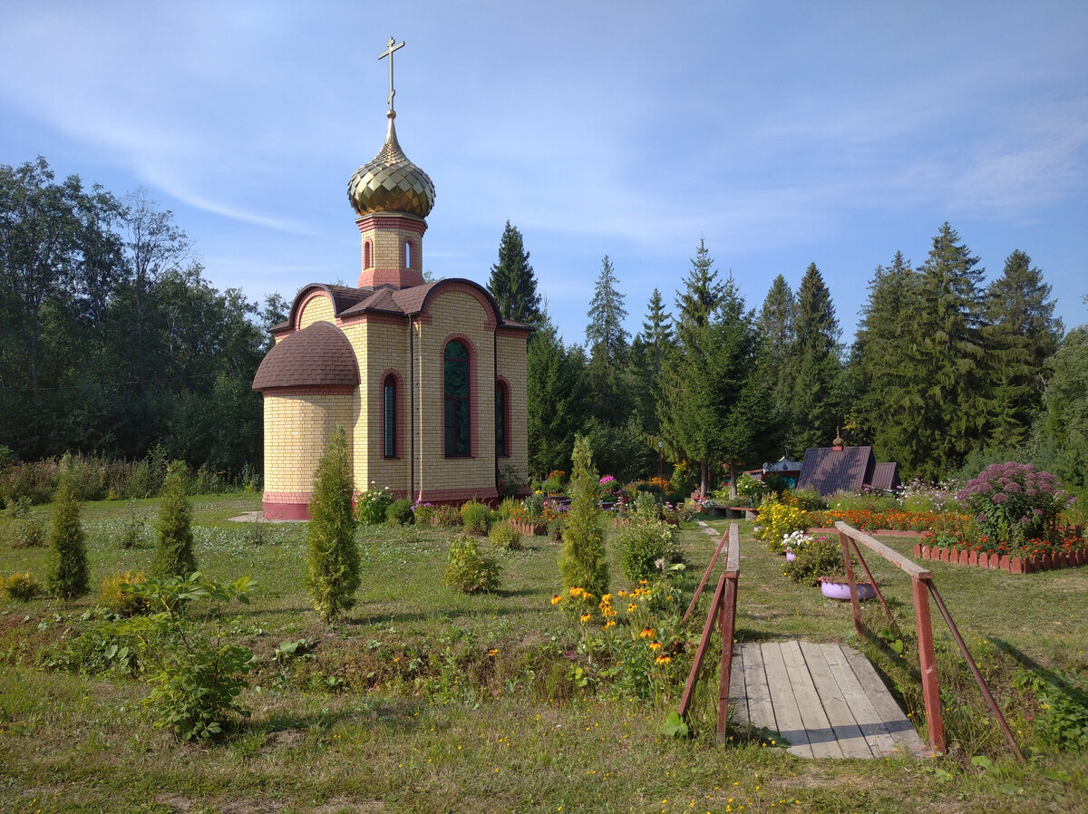 По дороге в Киров. Разбитая дорога Буй-Галич в костромских лесах и что  здесь посмотреть. | Pottaev Кирилл | Дзен