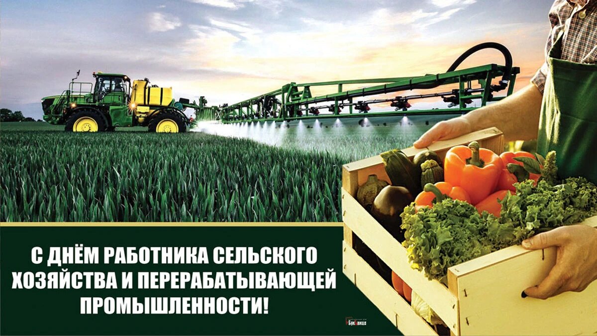 День работника сельского хозяйства и перерабатывающей промышленности. Иллюстрация: «Курьер.Среда»