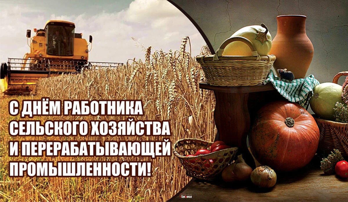 День работника сельского хозяйства и перерабатывающей промышленности. Иллюстрация: «Курьер.Среда»