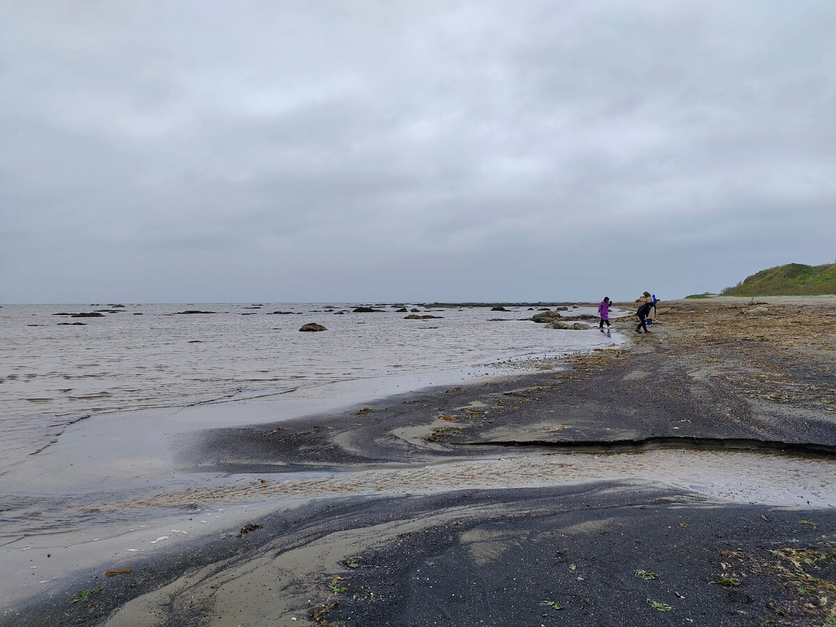 Берег Охотского моря близ села Стародубское