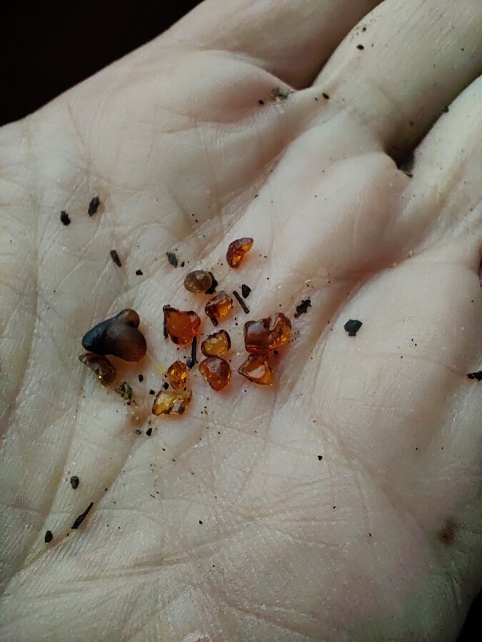 Сахалинский янтарь