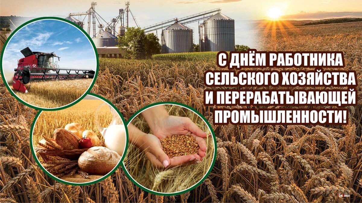 День работника сельского хозяйства и перерабатывающей промышленности. Иллюстрация: «Весь Искитим»