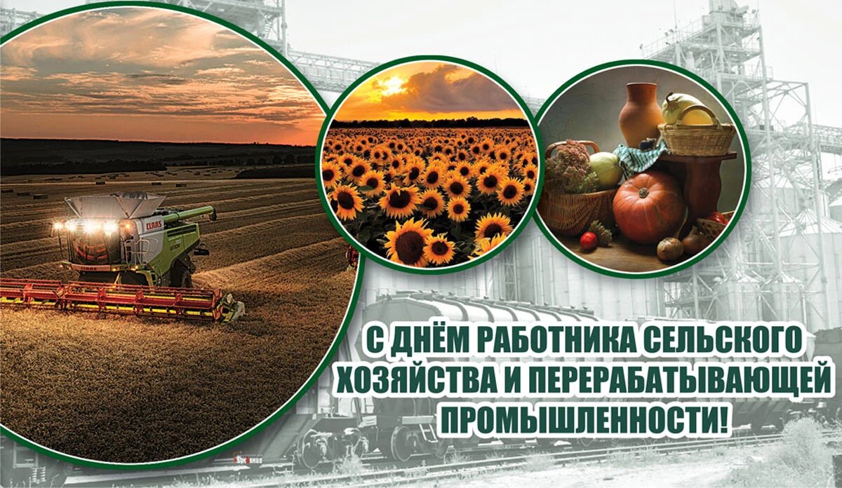День работников сельского хозяйства и перерабатывающей промышленности АПК