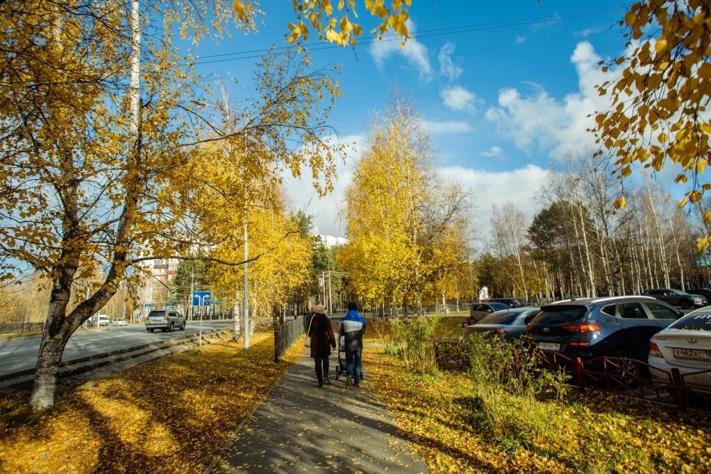    А что в Сургуте? Обзор главных новостей за неделю