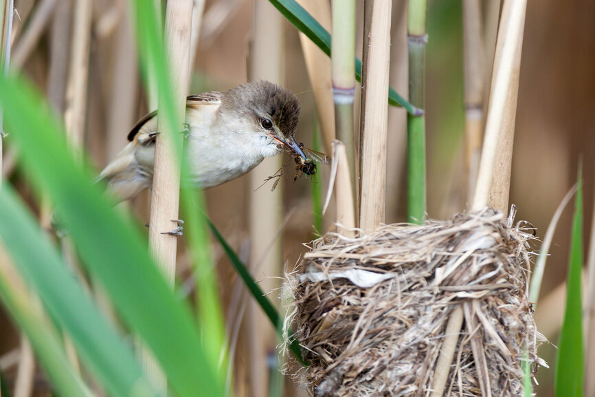 Фото из фотобанка Лори 