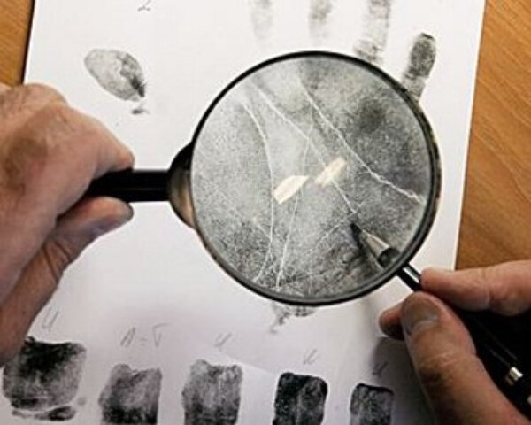 Источник: Яндекс-картинки 