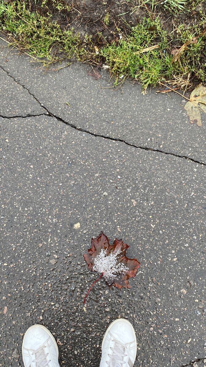 Так и не поняла, снег ли это на листке