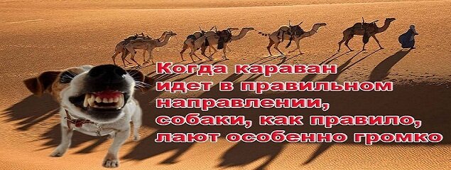 Собаки лают караван идет мем