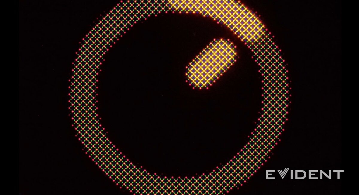    Иконка таймера в Dynamic Island под микроскопом