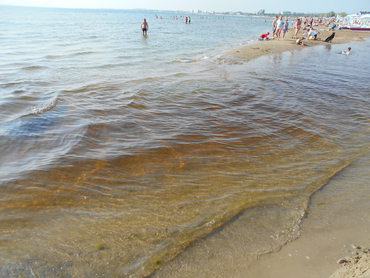 Какой пляж на черном море. Самые безлюдные пляжи черного моря. Самые малолюдные пляжи Краснодарского края. Малолюдный пляж в Адлере. Пляж дурна.