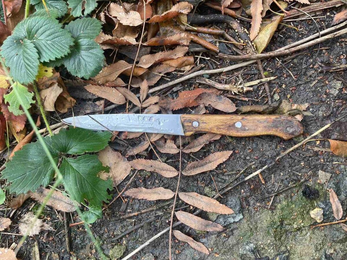 Фото: ГУ МВД России по Челябинской области