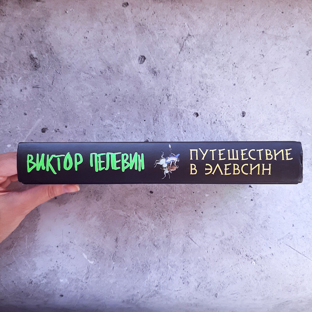 В книге 480 страниц. Фото автора