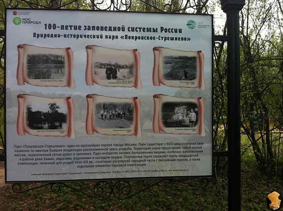 записки о здравии благодарственный молебен. покровский хотьков монастырь карта. записочки матроне московской. записки в церковь о здравии и упокоении. молебен матроне московской записка.