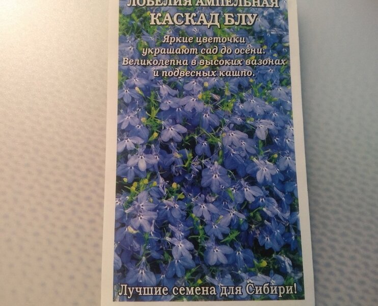 Упаковка с семенами лобелии Каскад Блу агрофирмы «Золотая сотка Алтая»