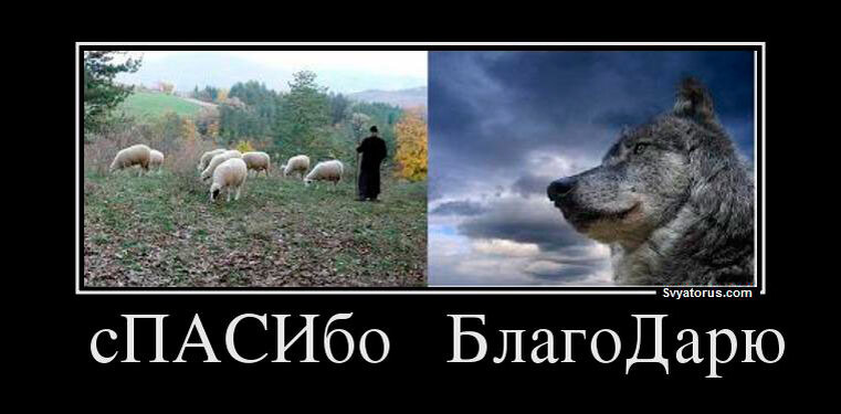 https://ksv.ru/Spots/daily_thoughts/DT120328-1.shtml