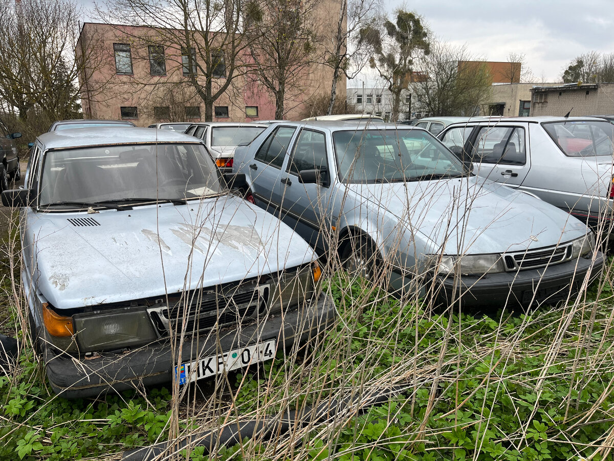 Десятки брошенных авто под открытым небом. | Заброшенная Прибалтика | Дзен