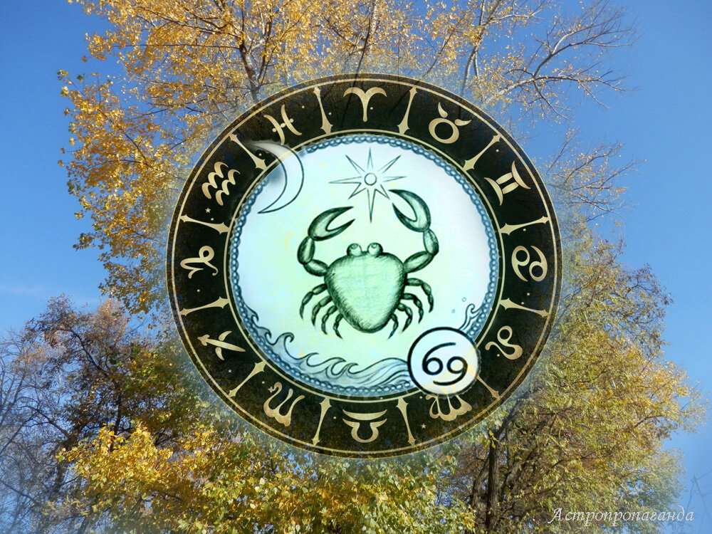 Коллаж Нины Стрелковой. 