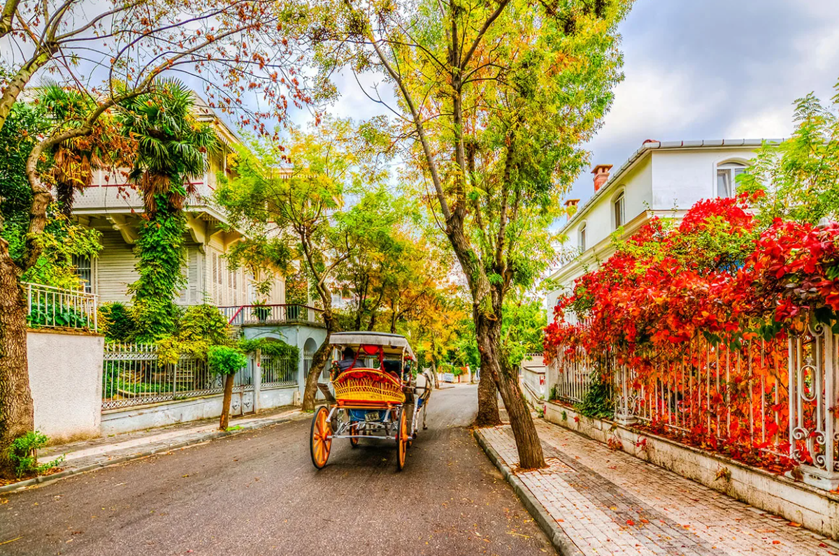 Принцевы острова остров бююкада. Остров бююкада турция. Бююкада в стамбуле. Остров бююкада стамбул. Бююкада принцевы.