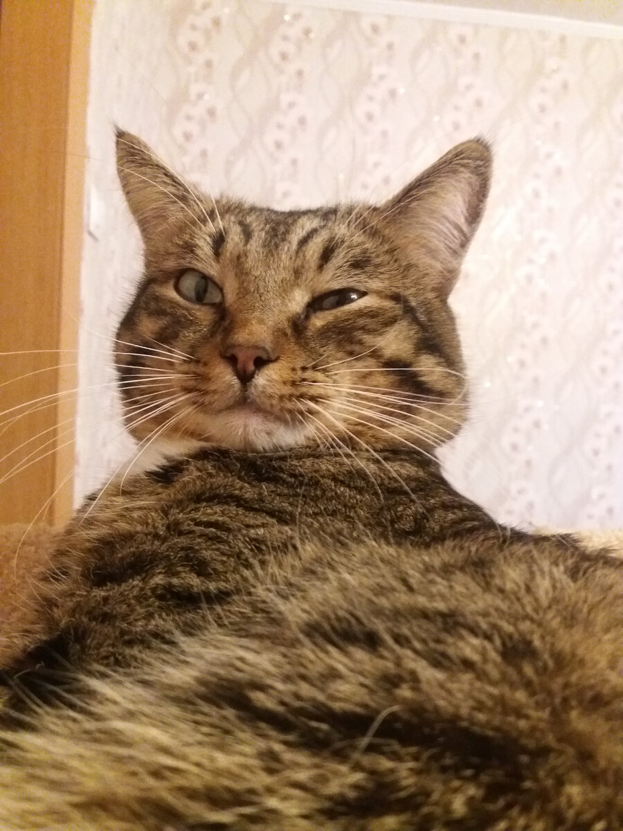 Без фотошопа